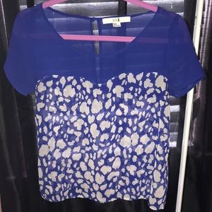 Blue and White Blouse